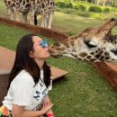 기린사우나 이미지