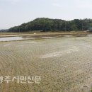 독바우 이미지