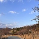 밀양밸리캠핑장 이미지