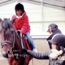 칠천초등학교 이미지