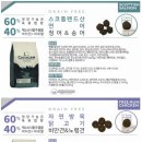 인터펫코리아 이미지