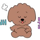 체스터후라이드치킨 이미지