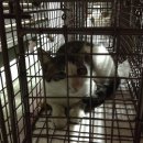 공덕초교 이미지