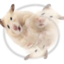 이정한우국밥 이미지