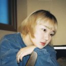 다린 이미지