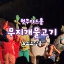 무지개 물고기 | 청주 무지개 물고기 뮤지컬 후기｜청주 아트홀 가족뮤지컬 내돈내산 관람 리뷰