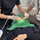 바른소아치과치과의원 이미지