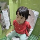 9월 2주놀이 🚽💩쉬. 응가 놀이해요 2 이미지