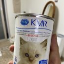 새끼 고양이 분유 kmr 케이엠알 리퀴드 먹여보기