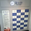 댕스런 | 옥련동 애견카페 애견놀이방 댕스런 후기