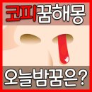 코피꿈해몽, 피 꿈이 무조건 좋은 건 아니네요~ 이미지