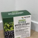 혈행개선에 좋은 영양제 햇살이네 마을 징코햇살 블랙커런트 감마리놀렌산 후기