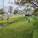 신안동7 이미지