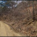 영덕군축산면상원보건진료소 | (경북 영덕군토지(전)경매) 영덕군 축산면 부곡리 424 ○ 2017타경1514 예상낙찰가