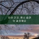 에코55플란트치과의원 네이버블로그