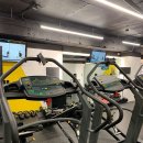 마커스 그래비티 이미지