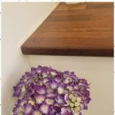 올래펜션민박 이미지