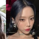 비비정지 Daum카페