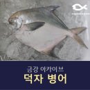 어업회사법인 금강씨푸드주식회사