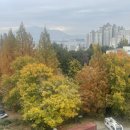 경희수한방병원 이미지