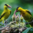 지봉초등학교 이미지