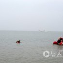 서천소방서-22 네이버블로그