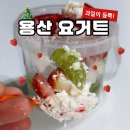 코하프루트&요거트
