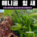 나무잎새 - 평택시 중앙시장로 24 | 일산풍동맛집[잎새]주차,후기|일산애니골쌈밥정식