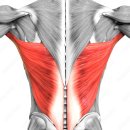 센터오브그래비티 이미지