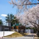 장성호관광지 이미지