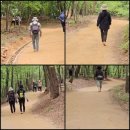 황방산생태야영장 이미지