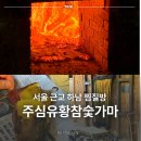 11545-12-06-10 | 하남 찜질방 주심유황참숯가마 설날 연휴 숯가마 방문 찐 후기
