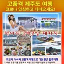 한나여행사 - 고양시 일산동구 중앙로 1036 | 한나여행사