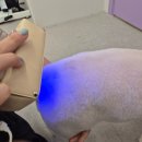 멍균관대 이미지