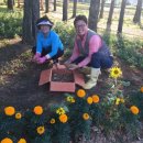 입석마을 이미지