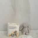 모모어린이집 | 모모래빗 에코컴포트핏 솔직 후기｜어린이집 낮기저귀로 왜 인기인지 써봤어요