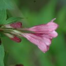 지리산친구들 이미지