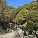 마지기로 | [평창 산너미목장] 명당 추천/애견동반/육십마지기 트래킹/수제버거 후기