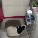 구슬엔 작대기 | 25년 8월 므에므으리