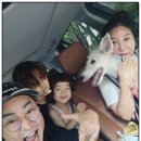 동막여관 | 강화도 애견동반 펜션 동막여관에서 가족과 함께한 힐링 타임