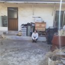 창원황약국 이미지