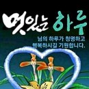 이세상사 이미지