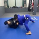 라텔 주짓수,복싱 강서 | 염창역주짓수 아트주짓수 강서 직접 해본 후기 💪