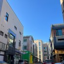 냥이멍이세상 이미지