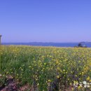 주동마을회관 이미지