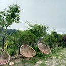 쫑이와메리 | 연천애견펜션 쫑이와메리 애견펜션 방문후기