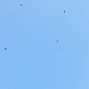 청도천3 이미지