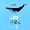맥 - 송파구 올림픽로10길 8 | 맥
