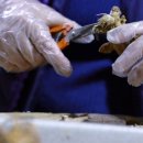 천홍인삼사