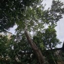 아름드리민박 이미지